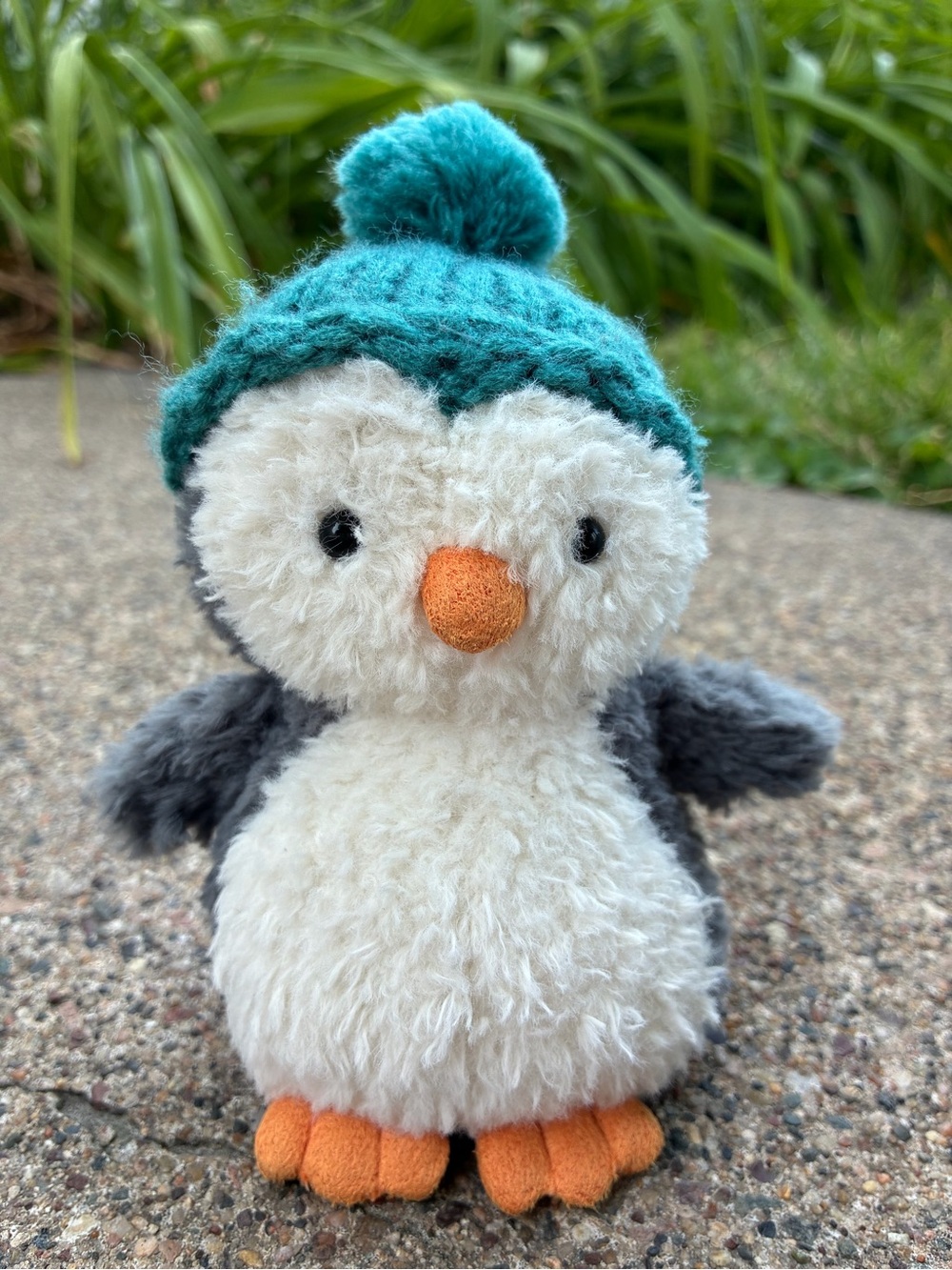 Jellycat Wee Winter Penguin with Teal hat. NWOT pet and smoke free home - Picture 6 of 6